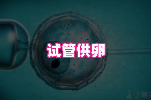 123试管孕网 4